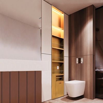 Modern Design Bathroom Shower Niche with Brushed Surface Finish and LED Light Feature