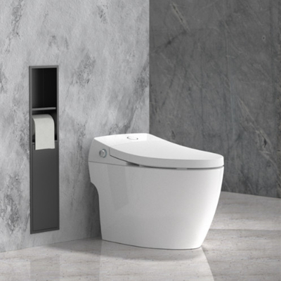 Stainless Steel Toilet Brush Niche in Brushed Finish Perfect for Any Bathroom Design
