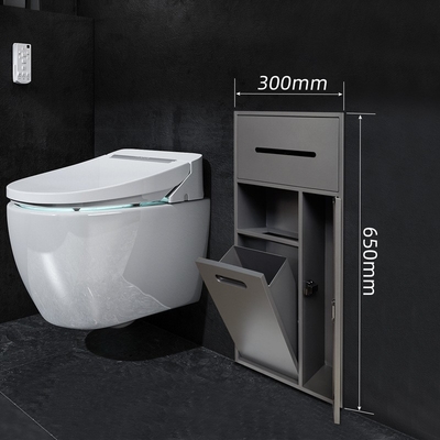 Australia Hotel Bathroom Niche Modern Design Style for Toilet Brush and Shower Storage