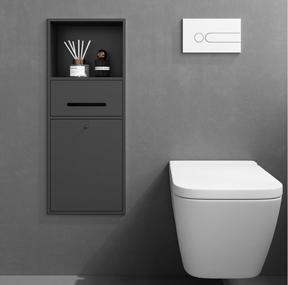 Brushed Surface Gold Bathroom Niche for Waterproof and Flush-Mounted Narrow Toilet