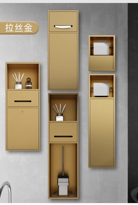 Brushed Surface Gold Bathroom Niche for Waterproof and Flush-Mounted Narrow Toilet