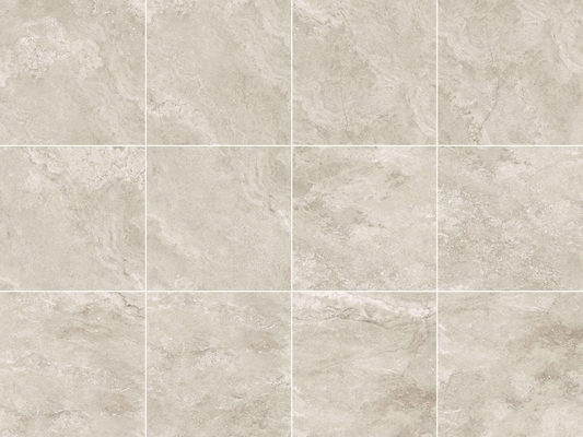 Good 600*600mm Regular Single Color Porcelain Floor Tile with Antibacterial Function